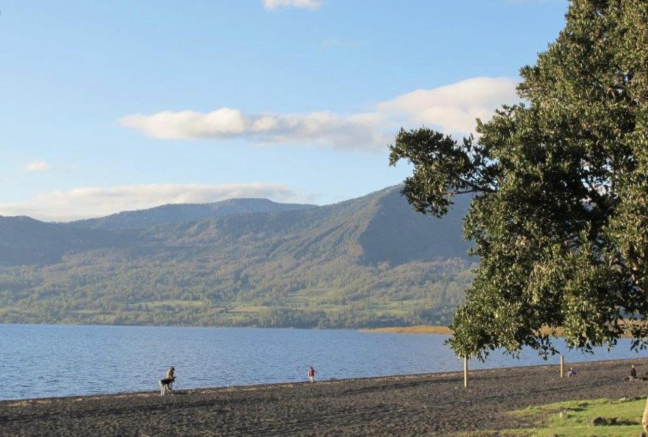 Apartament Pucon, La Capital Del Sur De Chile Zewnętrze zdjęcie